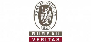 Bureau Veritas Holdings, Inc.