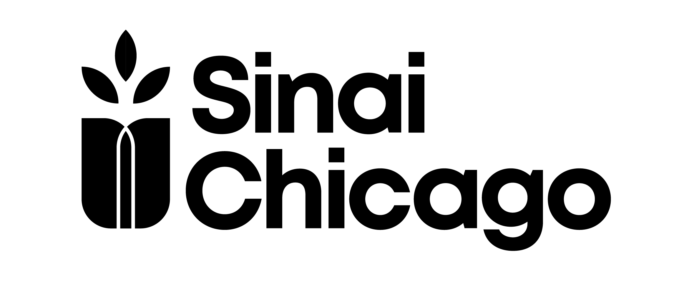 Sinai Health Systems