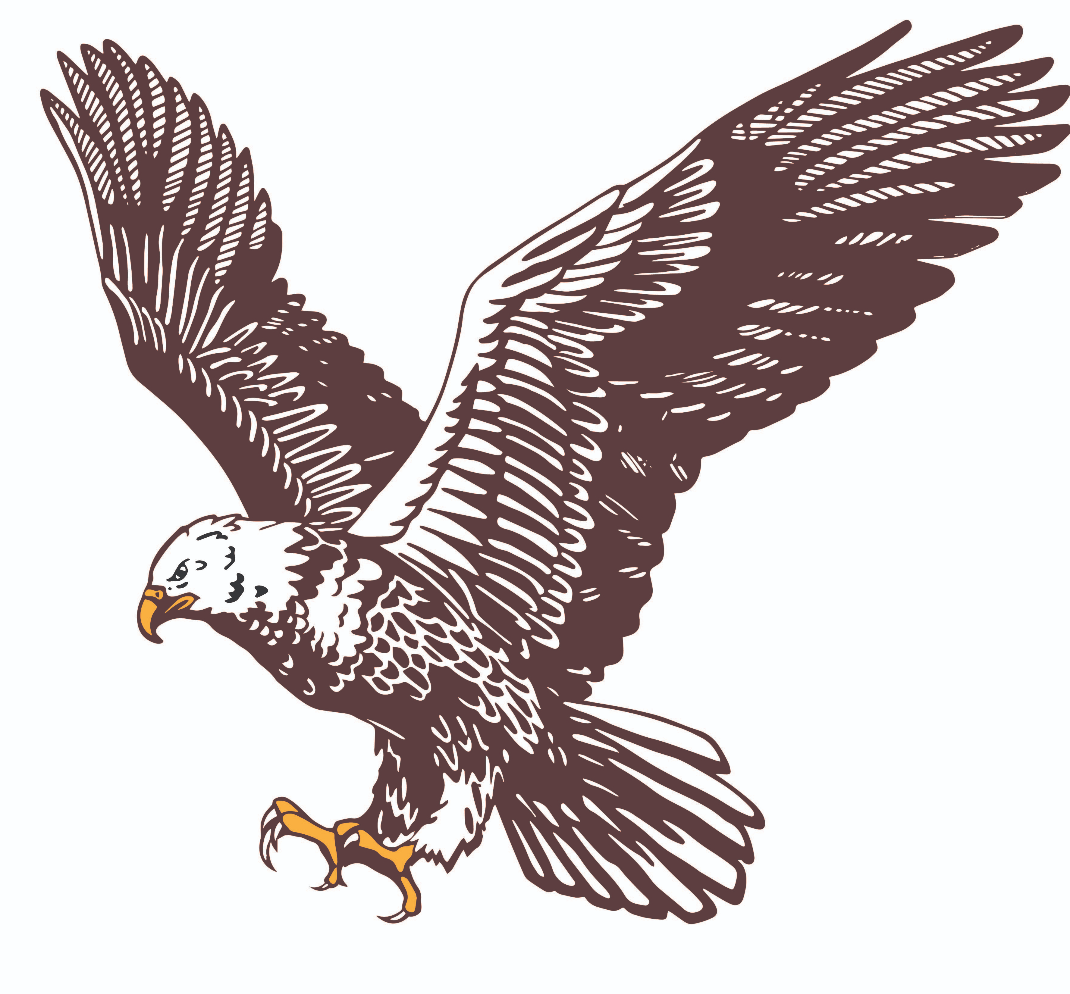 NDPHIT - South Heart Public School District 9